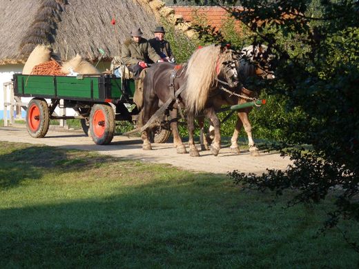 Skanzen