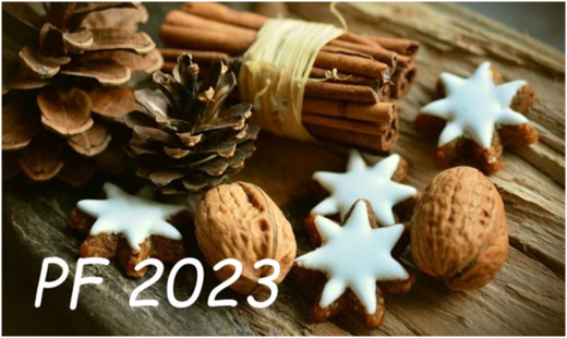 P.F.2023